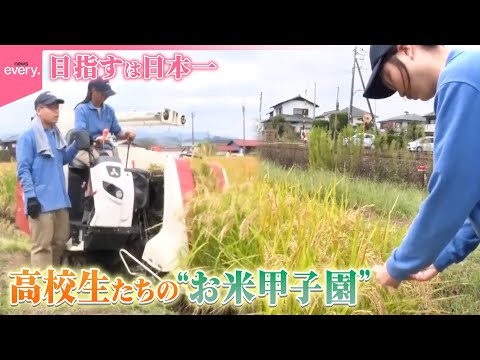 【密着】“お米甲子園”で優勝目指せ！高校生たちが挑む米作り『every.特集』 サムネイル
