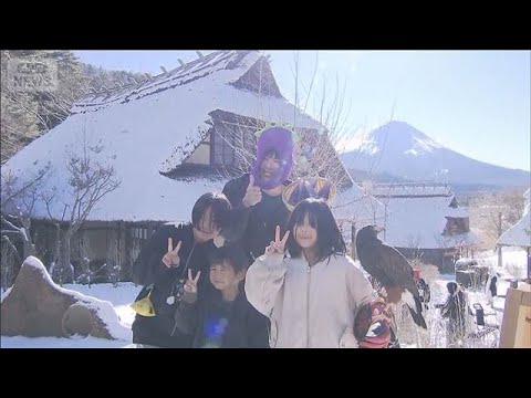 「一富士、二鷹、三なすび」初夢を現実に？本物のタカと撮影会　山梨(2026年1月3日) サムネイル