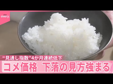 【コメ価格】見通し示す指数が4か月連続で低下  下落の見方強まる サムネイル