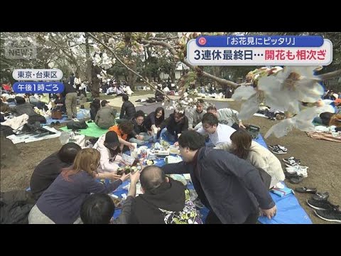 「お花見にピッタリ」　3連休最終日 桜の開花も進み“春”実感【スーパーJチャンネル】(2026年3月22日) サムネイル