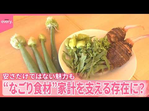 【“なごり”野菜･フルーツ】フードロス削減や家計支える存在に？｢大人の味に｣安さだけではない魅力も サムネイル