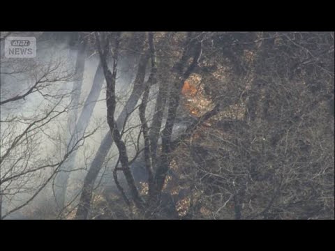 山梨・山火事　近隣住民「鎮火して」49時間経過も延焼中　消火活動続く(2026年1月10日) サムネイル
