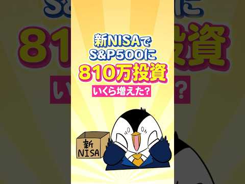 【リアルな結果】新NISAでS&P500に810万投資したらいくら増えた？ サムネイル