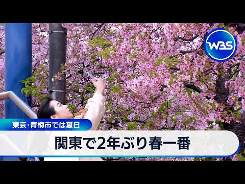関東で2年ぶり春一番 東京･青梅市では25度以上の夏日【WBS】 サムネイル