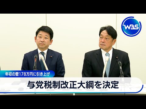 与党 税制改正大綱を決定 年収の壁178万円に引き上げ【WBS】 サムネイル