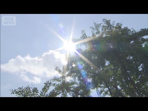 気温40度以上の日を何と呼ぶ？　気象庁が13の候補を発表(2026年2月27日) サムネイル