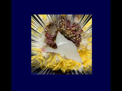 697 これも1月の特別 サムネイル