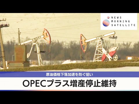 OPECプラス増産停止維持　原油価格下落加速を防ぐ狙い【モーサテ】 サムネイル