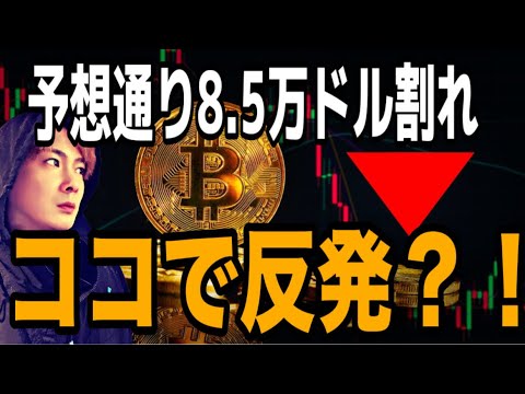 【超簡単】ビットコイン予想通り8.5万ドル割れ🚨リターンムーブで短期リバ取りもGET💸ココで反発⁉️ サムネイル