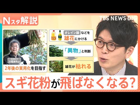「雄花だけを枯らす」最新研究 スギ花粉が飛ばなくなる未来も…？くしゃみ・鼻水／鼻づまり…症状によって薬を使い分けを【N… サムネイル