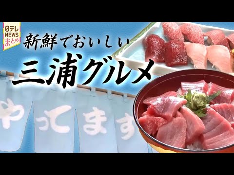 【三浦グルメ】マグロの頭で作る！　大人気とろとろ丼/階段上れば！すぐ直営店　ウマい魚介のパラダイス サムネイル