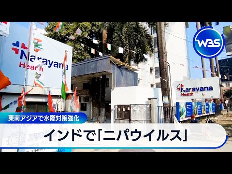 インドで「ニパウイルス」感染確認 東南アジアで水際対策強化【WBS】 サムネイル