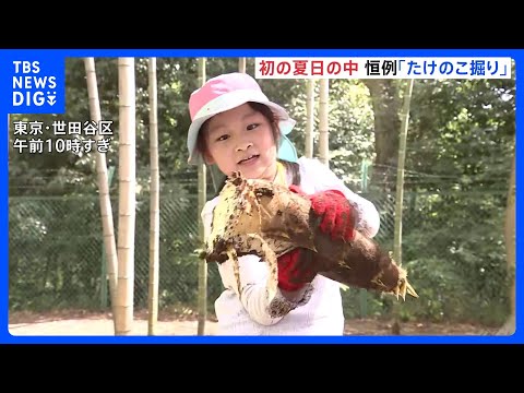 「重い！重い！」毎年恒例のタケノコ掘り　親子42人が参加　東京・等々力渓谷｜TBS NEWS DIG サムネイル
