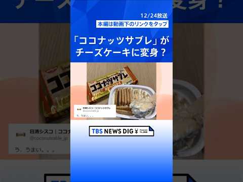 ココナッツサブレ×ヨーグルト＝チーズケーキ？ さらに「レモン果汁」と「はちみつ」を加えると…【Nスタ解説】｜TBS N… サムネイル