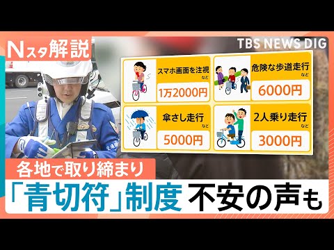 自転車「車道走るのが怖い」車「1mの間隔は厳しい」 自転車に「青切符」各地で取り締まり【Nスタ解説】｜TBS NEWS… サムネイル