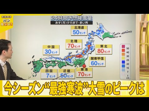 【予報士解説】今シーズン“最強寒波”大雪のピークは？ サムネイル