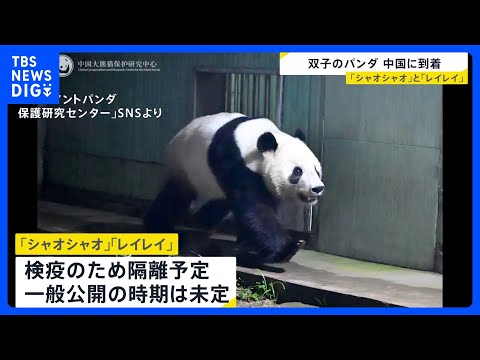 パンダが中国に到着 「シャオシャオ」と「レイレイ」四川省の保護センターへ　沿道には日本人の姿も｜TBS NEWS DIG サムネイル
