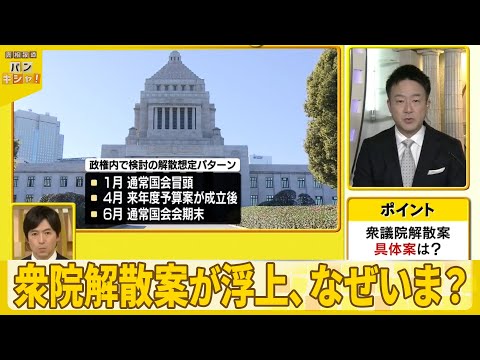 【解説】衆院解散案が浮上、なぜいま？　「勝てるタイミング」「これまでの方針との整合性」……“1月解散”勝算と思惑 サムネイル