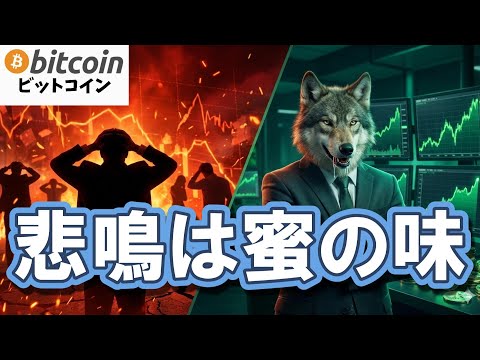 【仮想通貨 ビットコイン】9割が損切りする今、プロだけが「ヨダレを垂らす」理由。【閲覧注意】（朝活2062） サムネイル