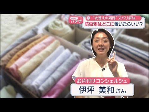 “衣替えの疑問”ズバリ解決　防虫剤はどこに置いたらいい？【スーパーJチャンネル】(2026年6月1日) サムネイル