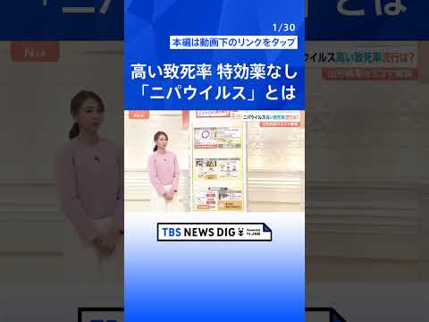 高い致死率「ニパウイルス」アジア各国で流行の懸念　ワクチン・特効薬なし…日本への流入リスクは？【Nスタ解説】｜TBS… サムネイル