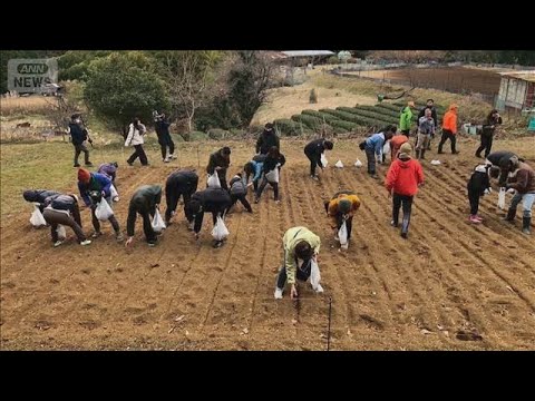 クマのためにドングリ増やせ　「山を元に戻すのは人間の仕事」ベテラン猟師の取り組み【グッド！モーニング】(2025年12… サムネイル