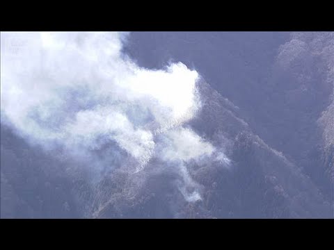 群馬で山林火災　県が自衛隊に災害派遣要請(2026年1月25日) サムネイル