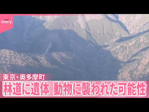 【東京・奥多摩町】「動物に食べられ内臓のない人がいる」林道に1人の遺体 サムネイル