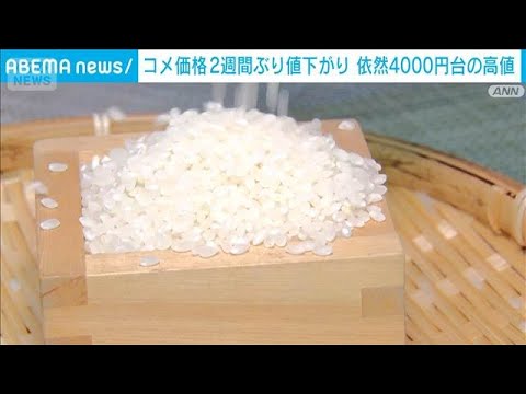 コメ平均販売価格　2週間ぶり値下がり　4188円/5kgで95円下落(2026年1月30日) サムネイル