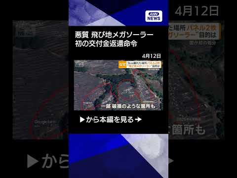 【ニュース】電力価格が上がる“飛び地メガソーラー”に処分　国が初の交付金返還命令shorts サムネイル