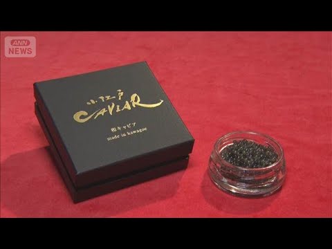 海がない埼玉県でキャビア　養豚場が養殖にチャレンジ　「きれいな水で育てられる」【グッド！モーニング】(2026年1月1… サムネイル