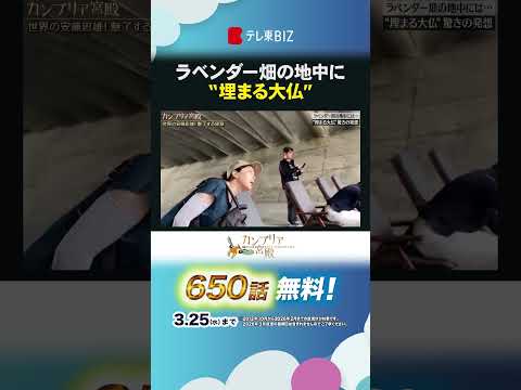 ラベンダー畑の地中に“埋まる大仏”shorts 安藤忠雄 建築家 頭大仏 カンブリア宮殿 サムネイル