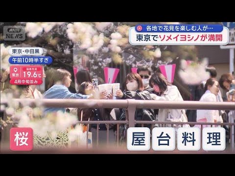 各地で桜が見ごろ 花見を楽しむ人も 東京ではソメイヨシノが満開　【スーパーJチャンネル】(2026年3月28日) サムネイル