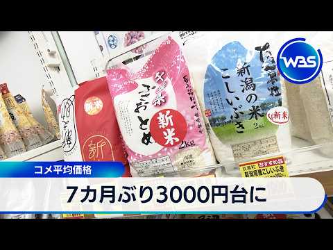 7カ月ぶり3000円台に コメ平均価格【WBS】 サムネイル