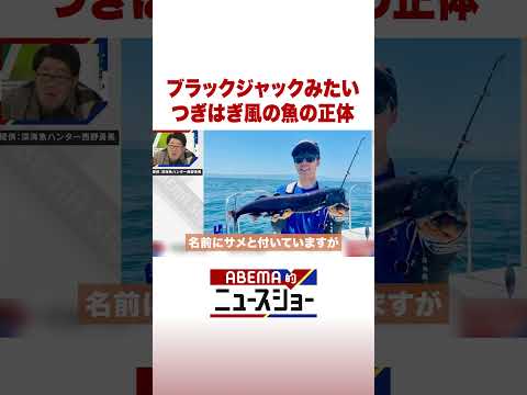 ブラックジャックみたい つぎはぎ風の魚の正体 ABEMA的ニュースショー Shorts サムネイル