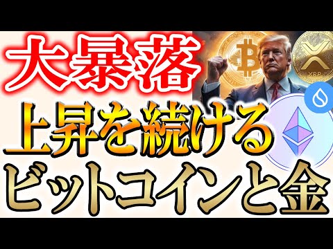 【大暴落はラッキー？】バブル崩壊での立ち回りを教えます！【仮想通貨/ビットコイン/リップル】 サムネイル