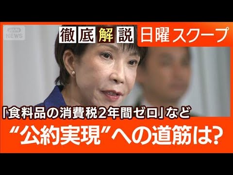 【食料品消費税ゼロへ始動】財源巡り市場に警戒感“米国が懸念表明”高市氏の構想は【日曜スクープ】(2026年2月15日) サムネイル