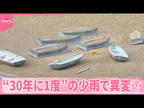 【各地で異変】“30年に1度”の少雨…湖はカラカラ、キャベツはスカスカに サムネイル