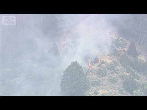 山林火災約10万平方メートル燃える　大阪府 災害警戒本部を設置(2026年3月31日) サムネイル