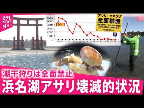 【もはや絶滅寸前】潮干狩りは8年連続中止 浜名湖アサリの現状と回復への取り組み　静岡　NNNセレクション サムネイル