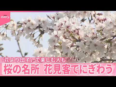 【桜】各地の名所、花見客でにぎわう　「花より団子」で楽しむ人も サムネイル