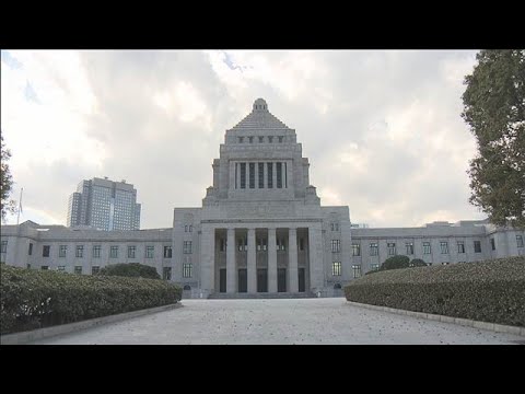 各党が公約発表　“看板政策”は？【スーパーJチャンネル】(2026年1月22日) サムネイル