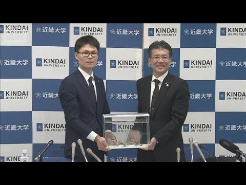 世界初！高級魚「ノドグロ」の完全養殖に成功　近畿大学水産研究所(2026年2月5日) サムネイル