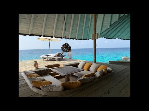 【学長ライブ】モルディブから10分だけライブ配信 サムネイル