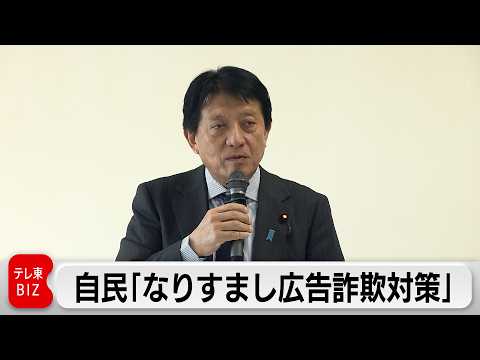 自民党「なりすまし広告詐欺対策」会合　グーグルなど3社からヒアリングを行う サムネイル