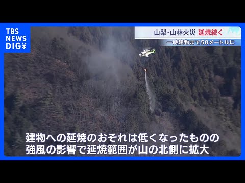 強風で山の北側に延焼範囲拡大　山梨・上野原市の山林火災 「きのうより大丈夫かな」消火活動進み建物への延焼のおそれ低くな… サムネイル