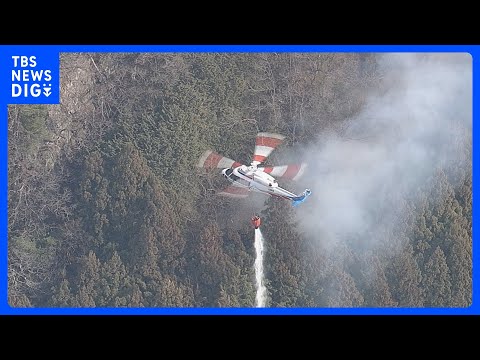 【速報】埼玉・秩父市浦山で山林火災　焼失面積は約40ヘクタール　県が自衛隊に災害派遣要請｜TBS NEWS DIG サムネイル