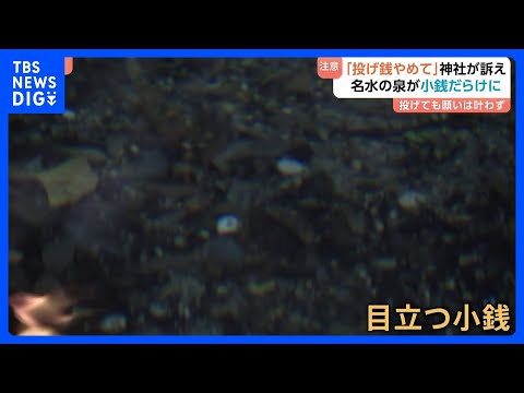 よかれと思った行為が罰当たりに！？　神社の泉が小銭だらけに…　中には1ｍ以上積もったところも　「投げ銭やめて」注意喚起… サムネイル