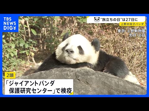 上野動物園の双子パンダが今月27日に中国へ　「シャオシャオ」と「レイレイ」　四川省の「保護研究センター」で検疫後は未定… サムネイル