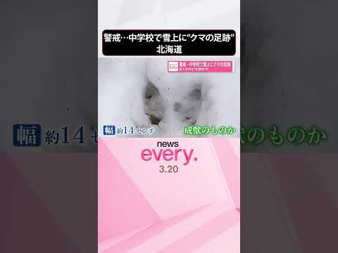【警戒】中学校で雪上に“クマの足跡”  近くの川で“水飲み”か  北海道  shorts サムネイル